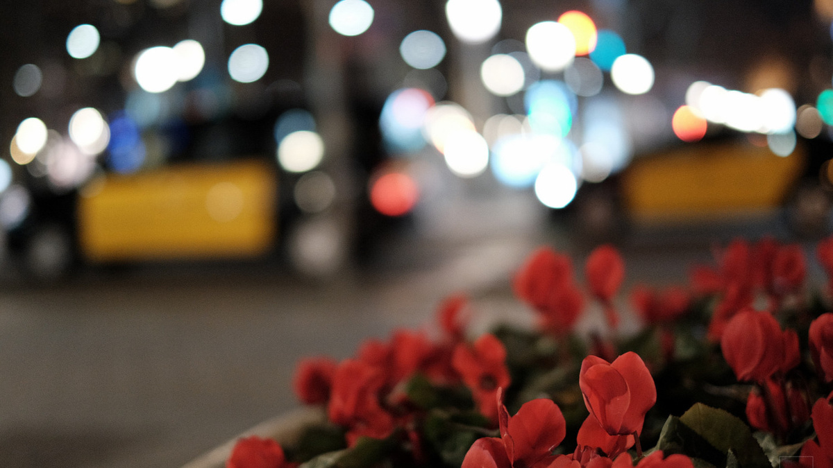 Спонтанные проявления дара. Картинки настоящего и будущего