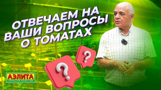 Профессор отвечает на ваши вопросы о ТОМАТАХ!