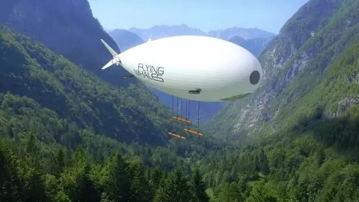 «Летающие киты» французов. Фото: РБК