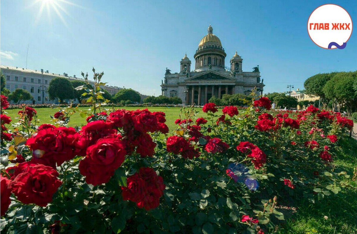 Общее состояние городской среды в 2023 году улучшилось на 18% 