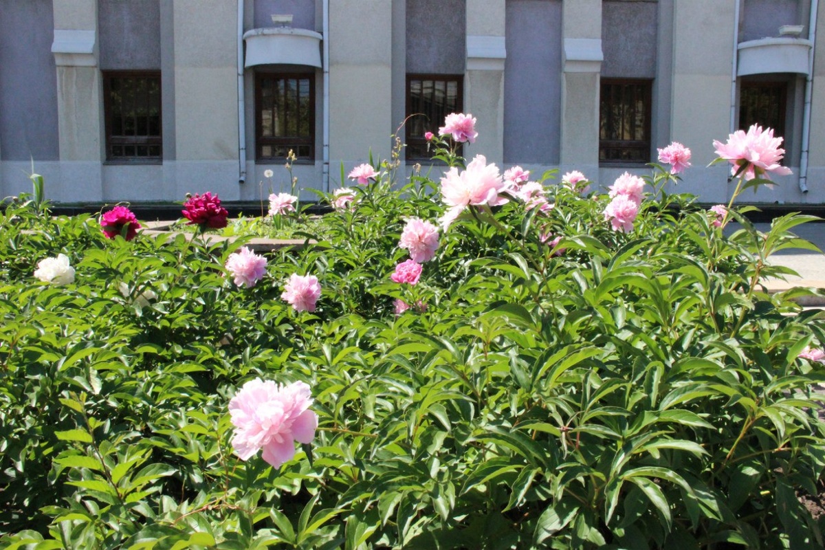 Фотография автора