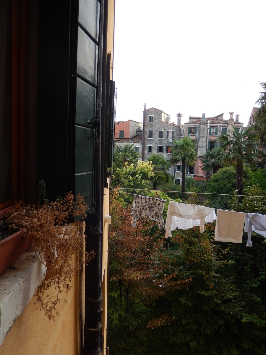 Вид из кухонного окна хостела. Все фото мои 