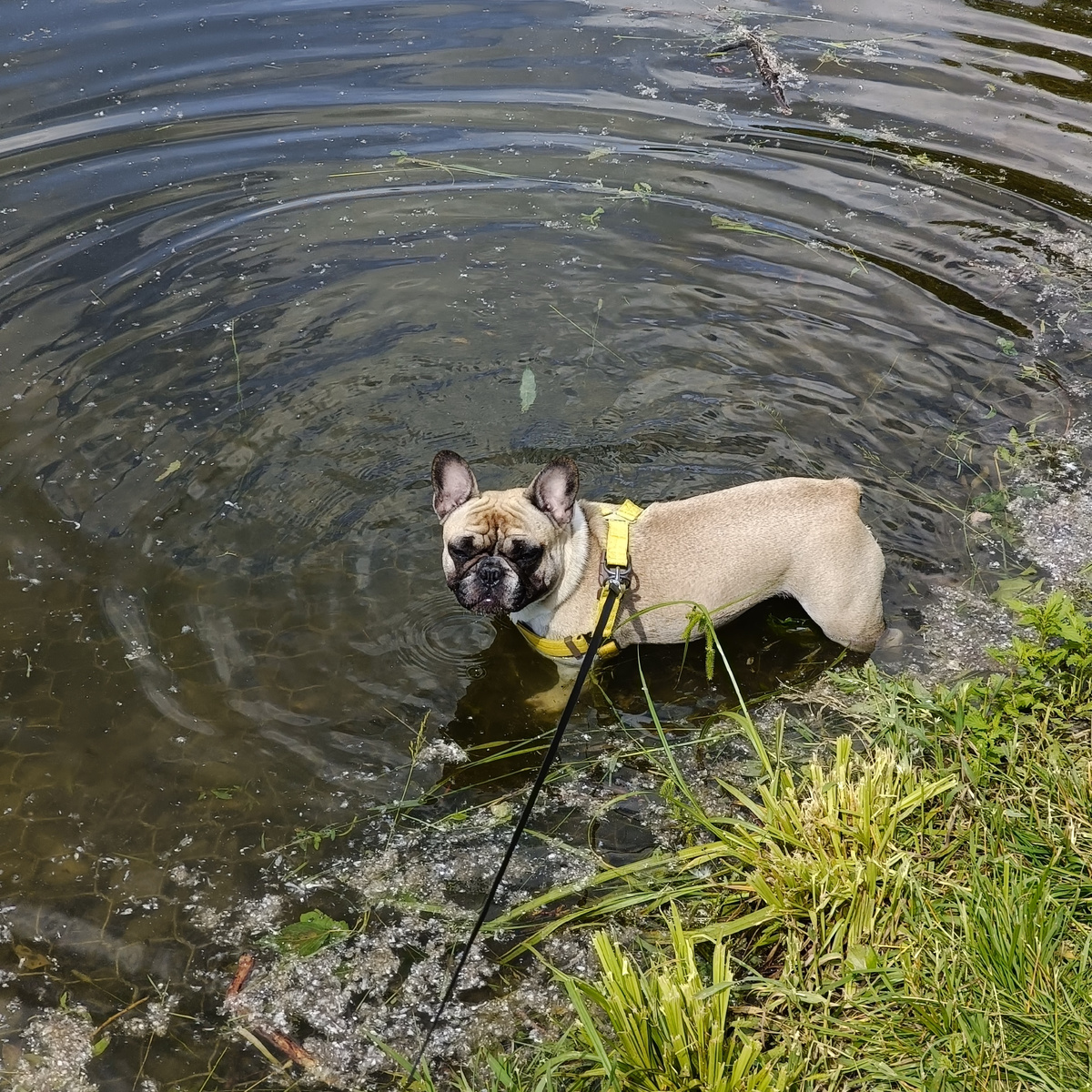 Соизволила повернуться для фото