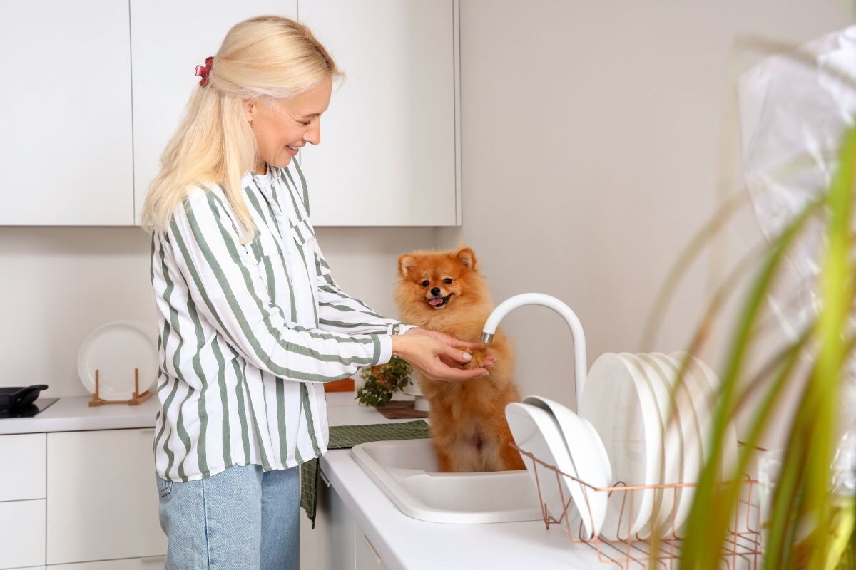 Женщина моет лапу померанской собаки на кухне