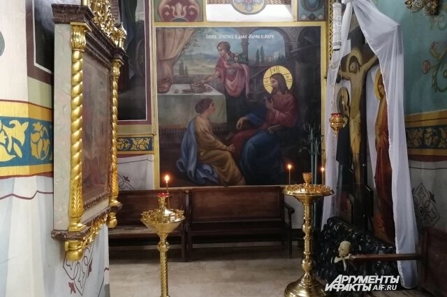    Фото:  АиФ/ Александра Коваль