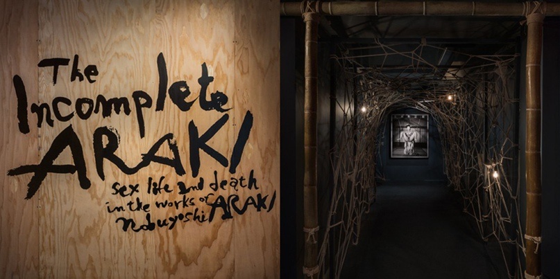 Вход на выставку Нобуёси Араки