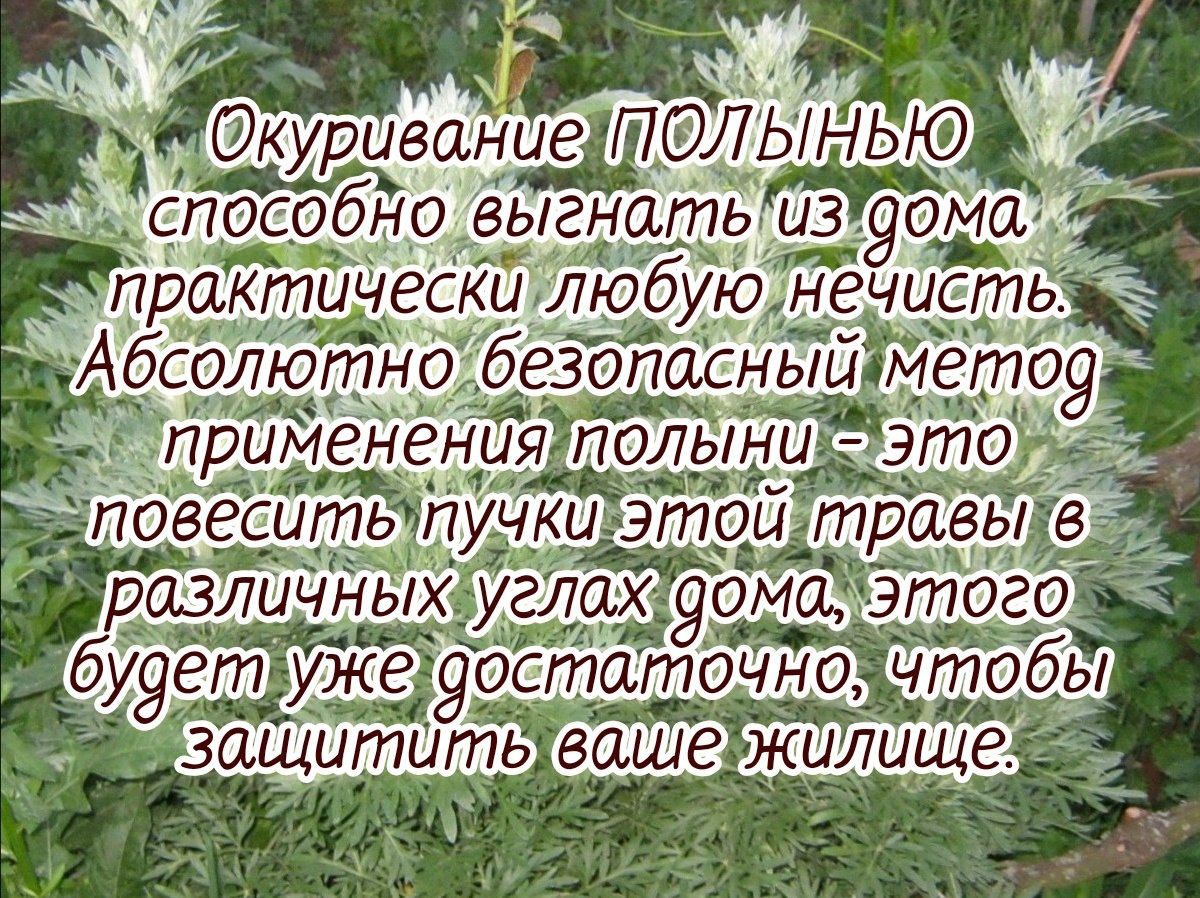 СТАРИННЫЙ СПОСОБ ОЧИЩЕНИЯ ДОМА С ПОМОЩЬЮ ТРАВ | 𝐃𝐨𝐛𝐫𝐨𝐦𝐢𝐫  𝐑𝐚𝐢𝐧𝐬𝐤𝐲 | Дзен