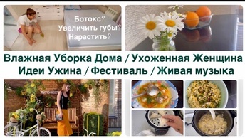 Влажная Уборка Дома / Ухоженная Женщина /Идеи Ужина / Фестиваль / Живая музыка