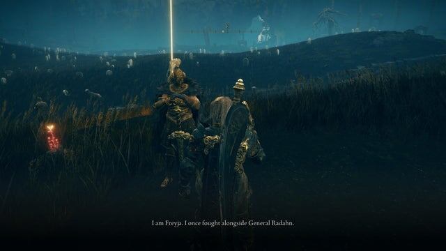 ✅Когда вы начнете Shadow of the Erdtree, вы можете немного заблудиться. В DLC Elden Ring много контента, и вам довольно сложно узнать, что вам следует делать, и что вы упускаете.-5