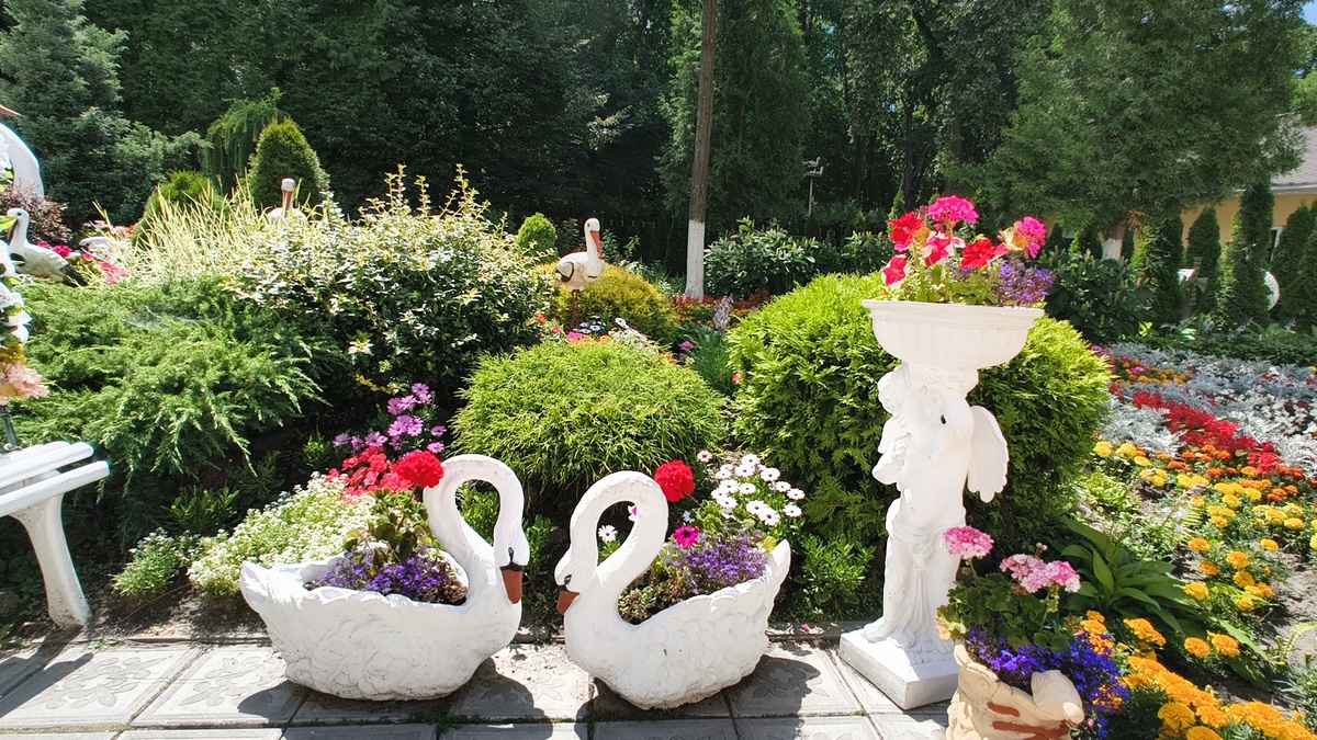 Гомель Беларусь 