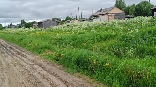 Новости с реки. Перевернул лодку на берег. Так и не понял зачем приходил к реке сосед Николай?