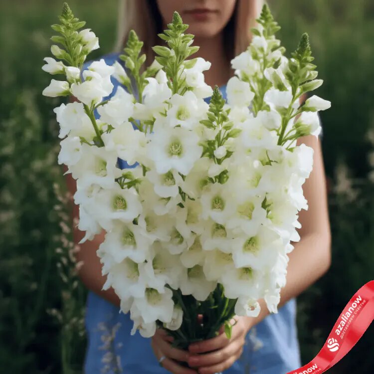   5 белых дельфиниумов от AzaliaNow
