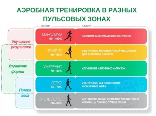 Аэробная тренировка в разных пульсовых зонах