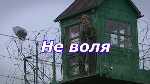 Не воля