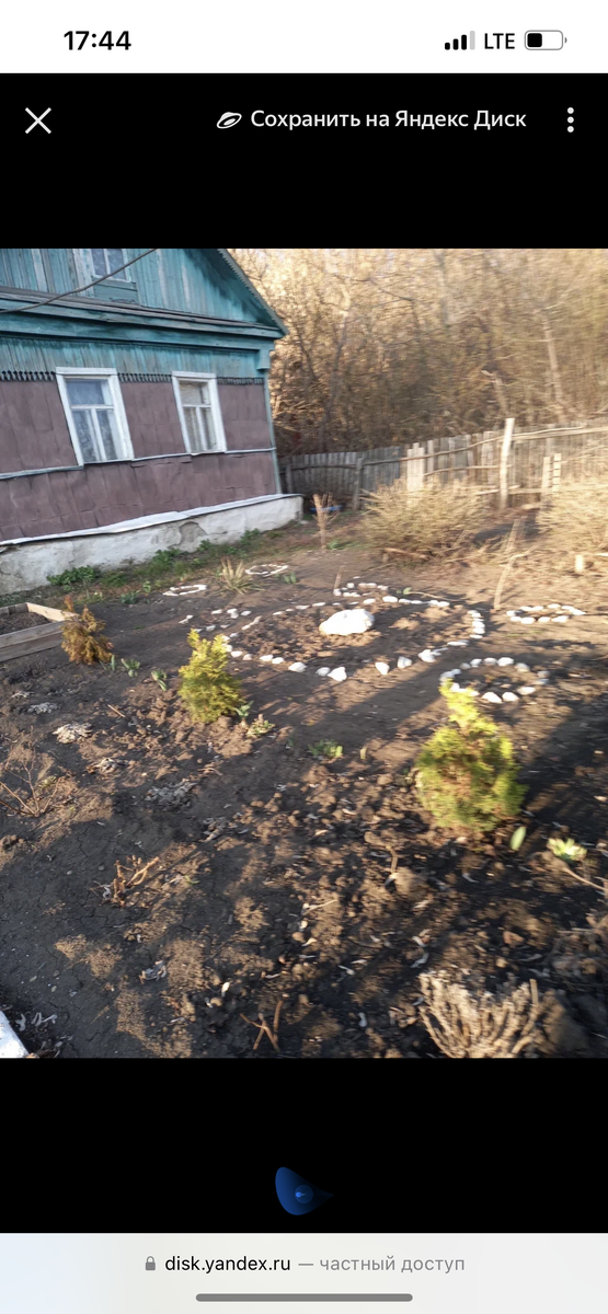 Наша дача 2021 год