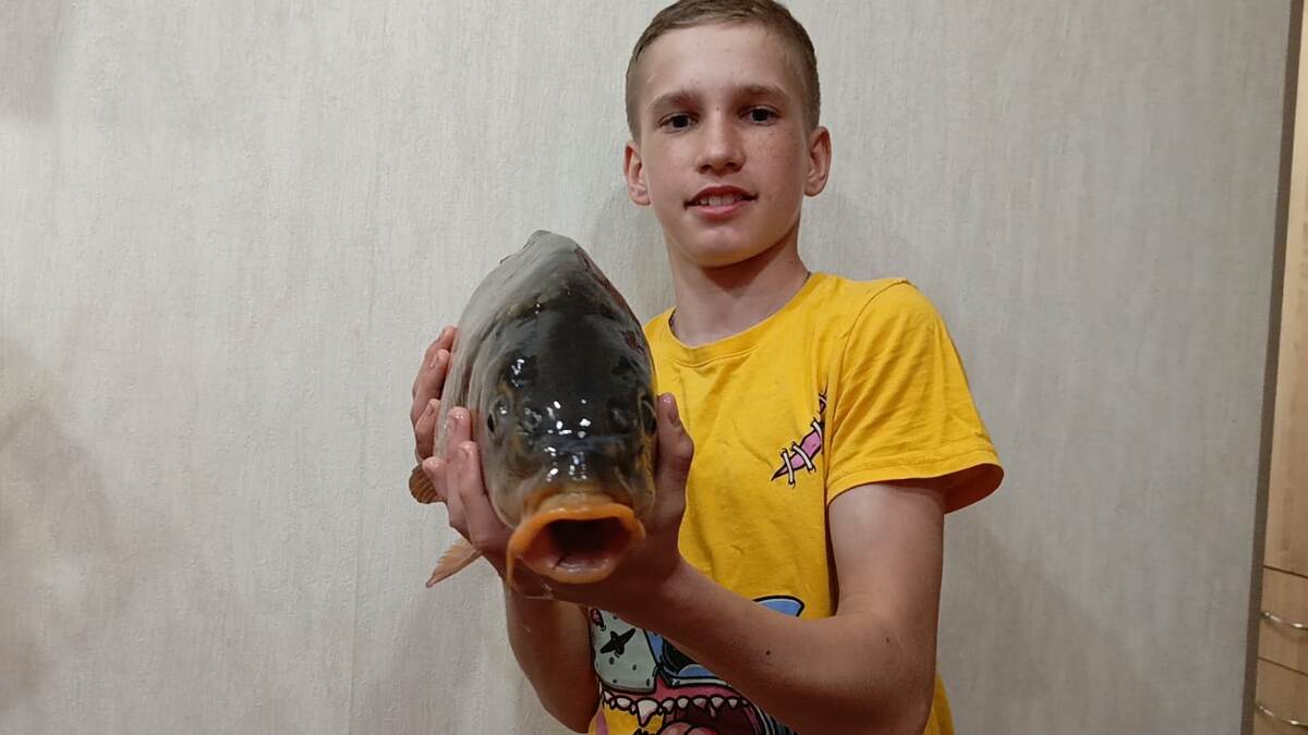 Фото автора