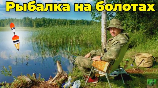 Самодельная насадка для рыбалки собрала Рыбу. Вечерние рыбалка на болотах.