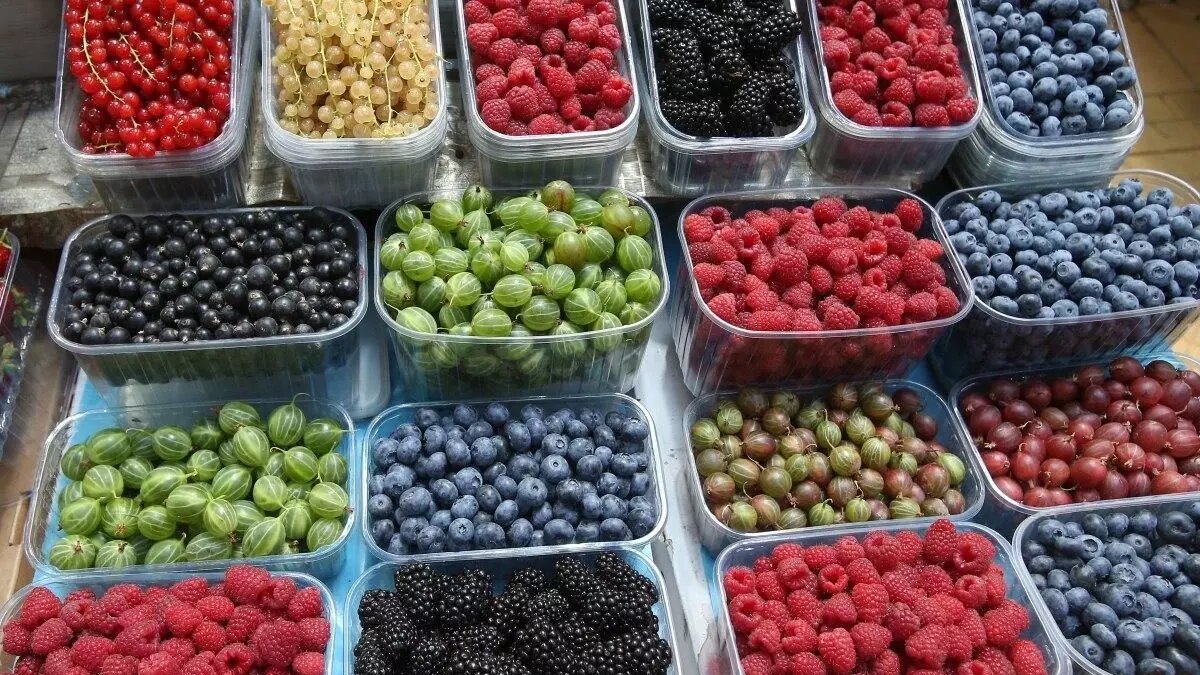     Источник: Телеграм