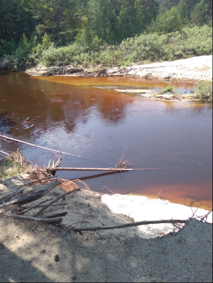 Моя любимая Барнаулка - волчья река!