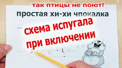 Ожидал чего угодно, но только не такого звука. Оригинальный квартирный звонок