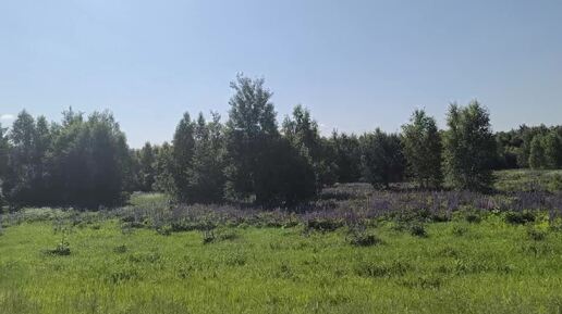 Жизнь в Нижегородской деревне.Готовлю вкусно минтай по -карейски .