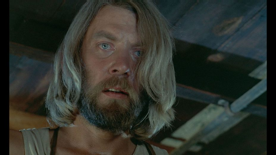 "Джонни взял ружьё", 1971 г.