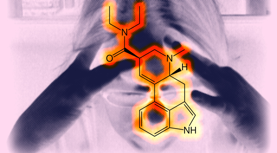   N + 1; Becky Wetherington / Flickr; Roger Burger / Wikimedia Commons