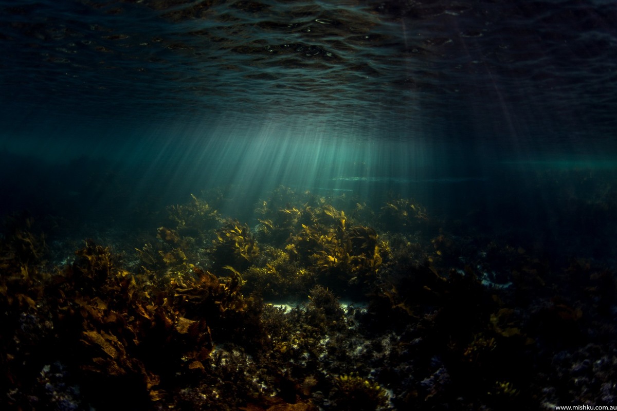 Источник: поиск https://yandex.ru/images/