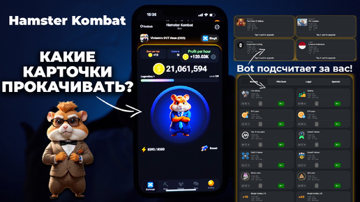 Какие карточки прокачивать в Hamster Kombat? Бот подсчитает все за вас!