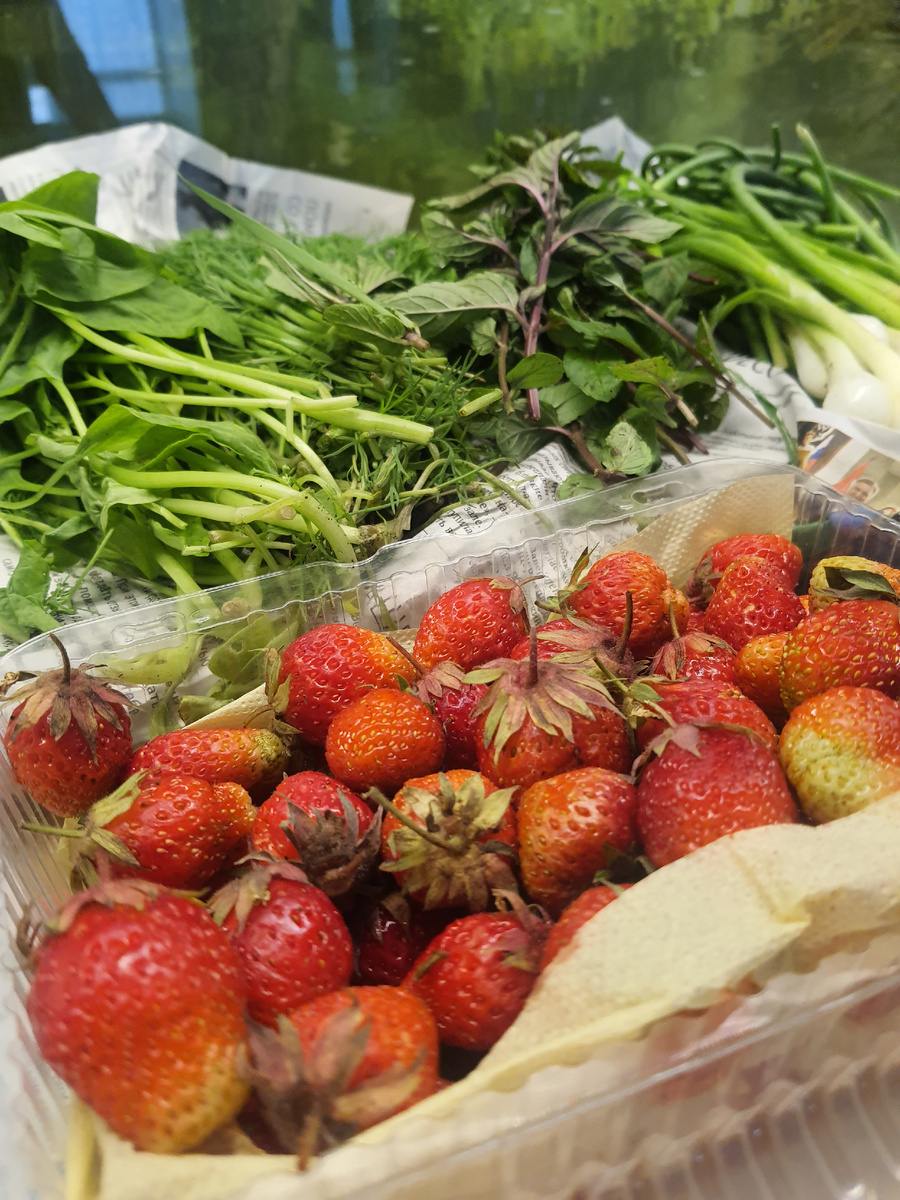 Идеальный вариант. Фото из архива автора.