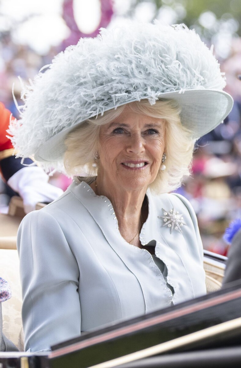  Каждый июнь знаменитости и члены королевской семьи наслаждаются Королевскими скачками.-2