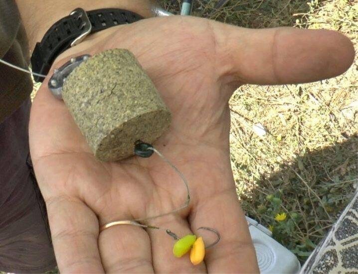 Приманка на сазана своими руками
