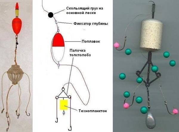 Оснастка для ловли толстолобика Ловля толстолобика на технопланктон Всё о рыбалке Медиаплатформа МирТесен