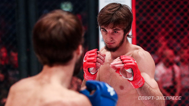    Хасан Магомедшарипов (в красных перчатках).Дарья Исаева