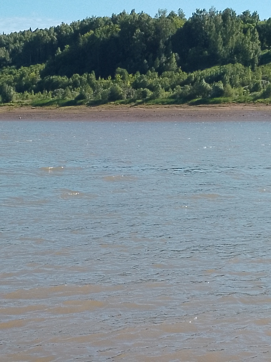 На первом месте