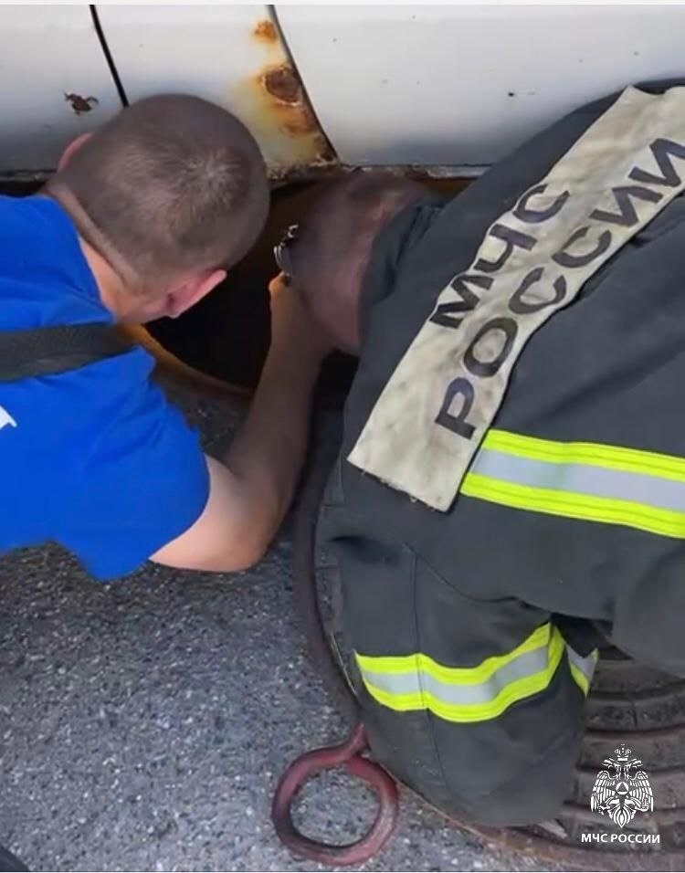 Фото: t.me/mchspetersburg