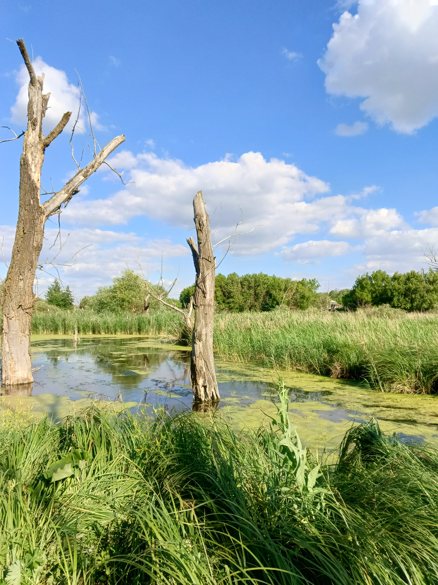 Фото автора.