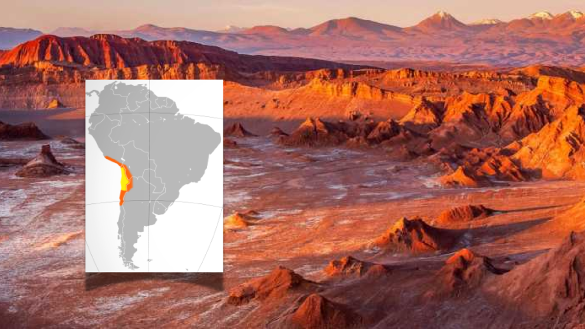 Под пустыней Атакама кое-что нашли