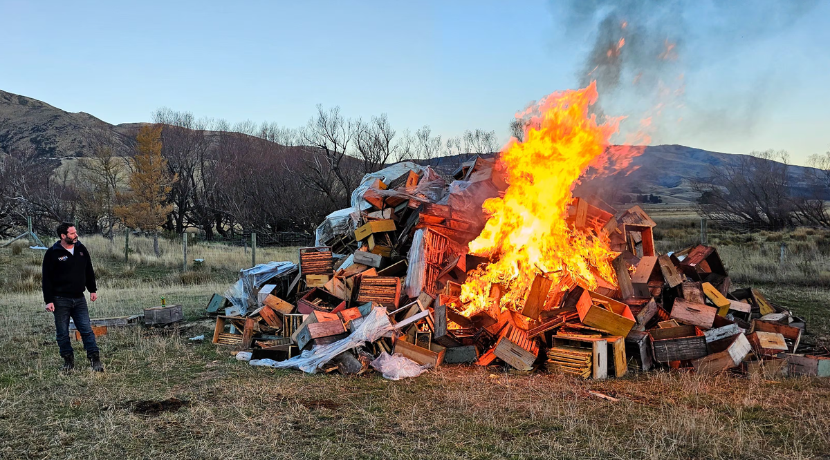 Да гори это пчеловодство синем пламенем! 
