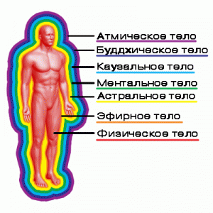 тонкие тела человека