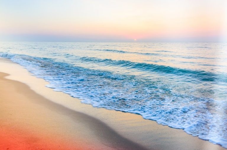    Фото: freepik.com Анастасия Давыдова