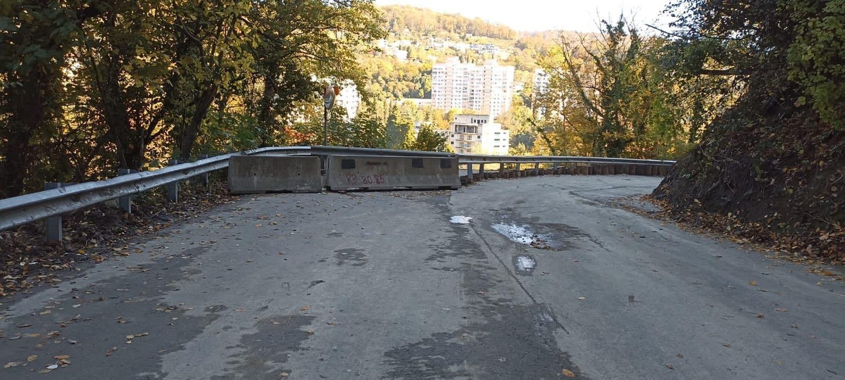    Фото: Telegram/Сочи Официальный