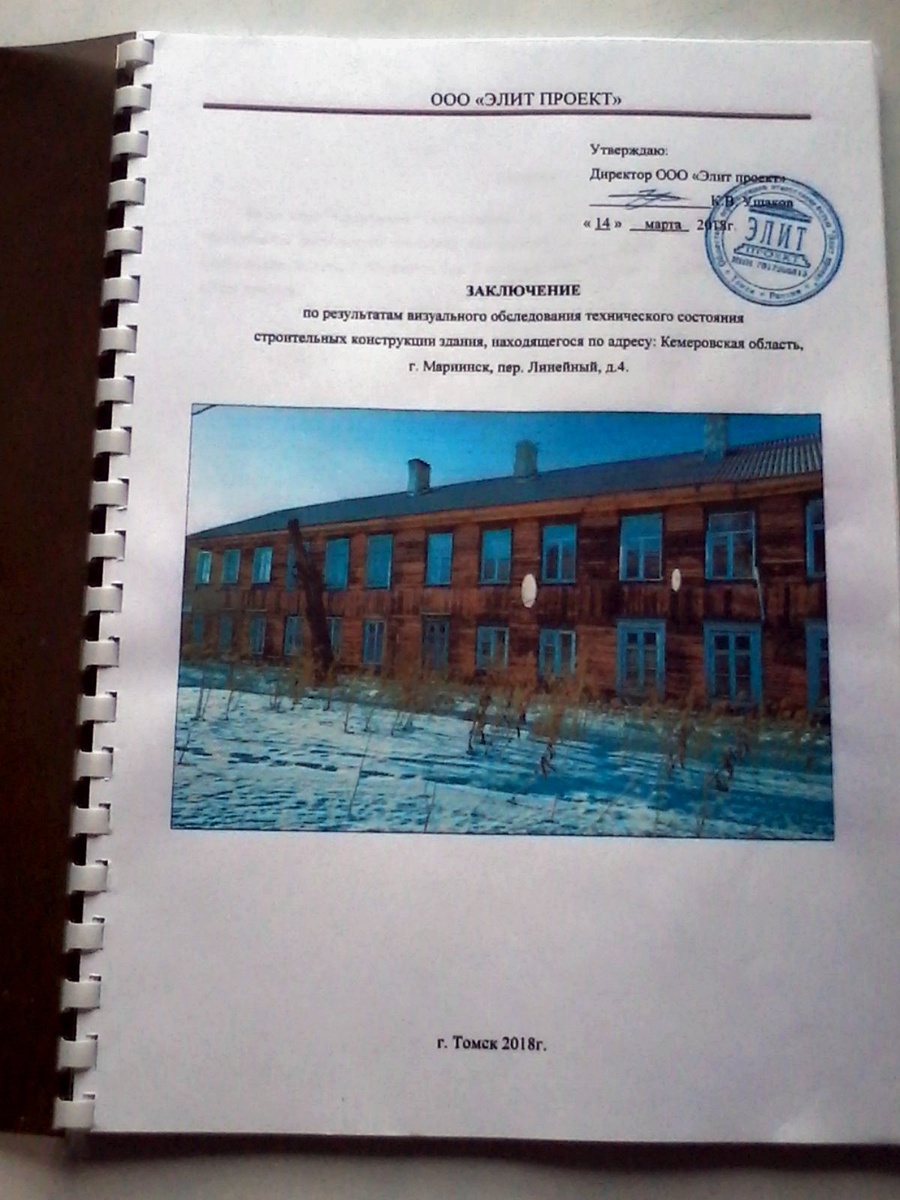 Первая страница из заключения независимой экспертизы.