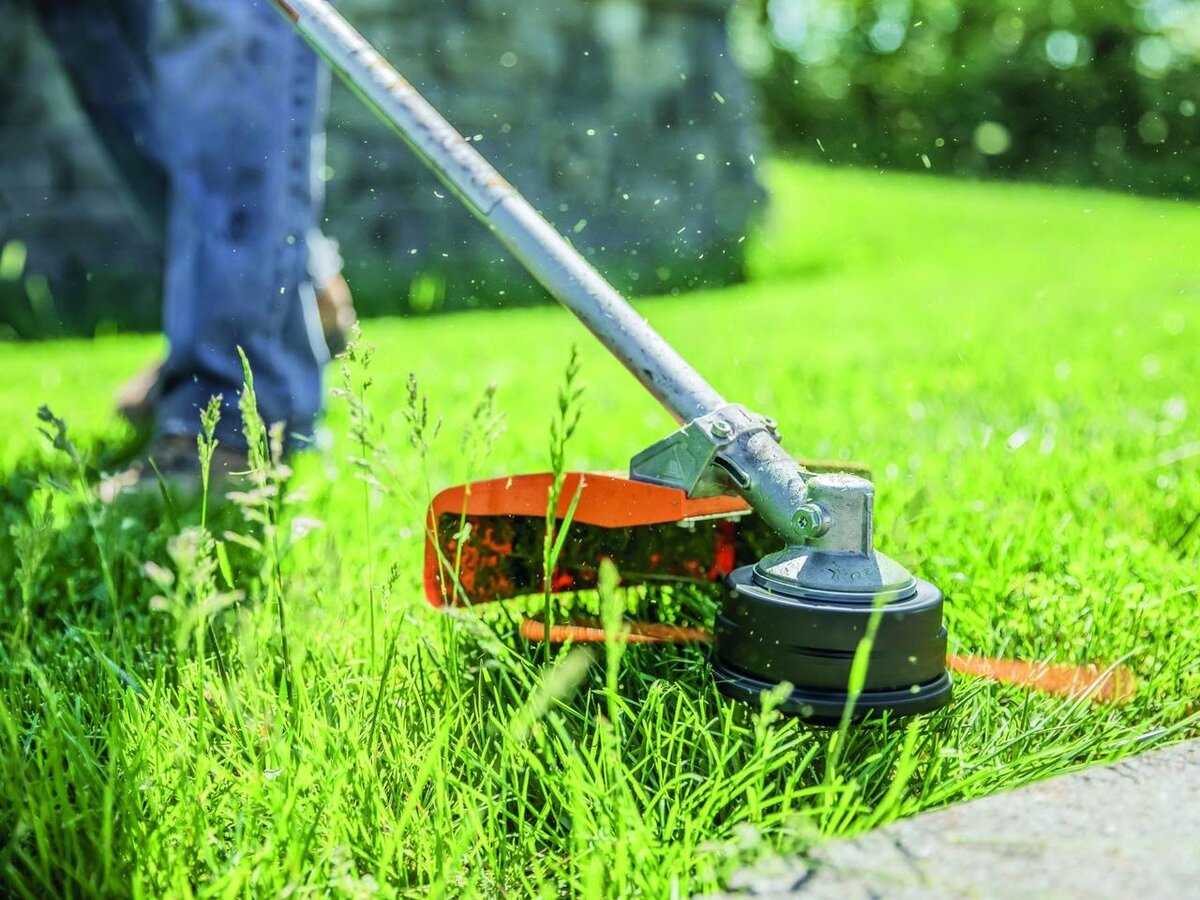 Яндекс-картинки