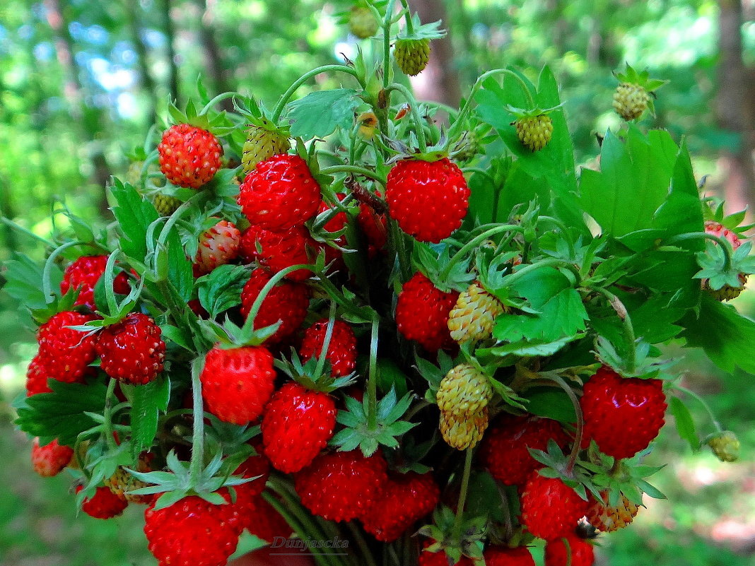 Фотография использована в иллюстрационных целях и взята из открытого доступа Яндекс-фото