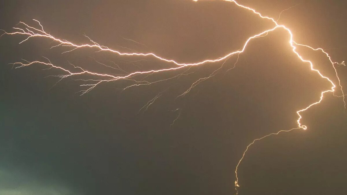     Источник: Photo by form PxHere