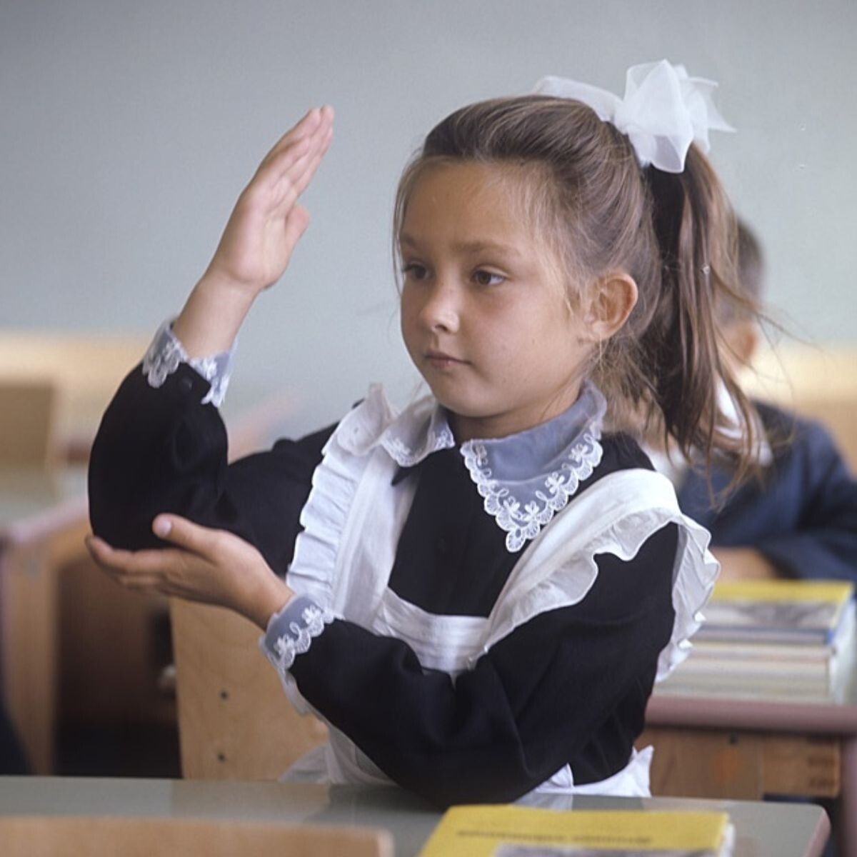 Отличница. из открытого доступа