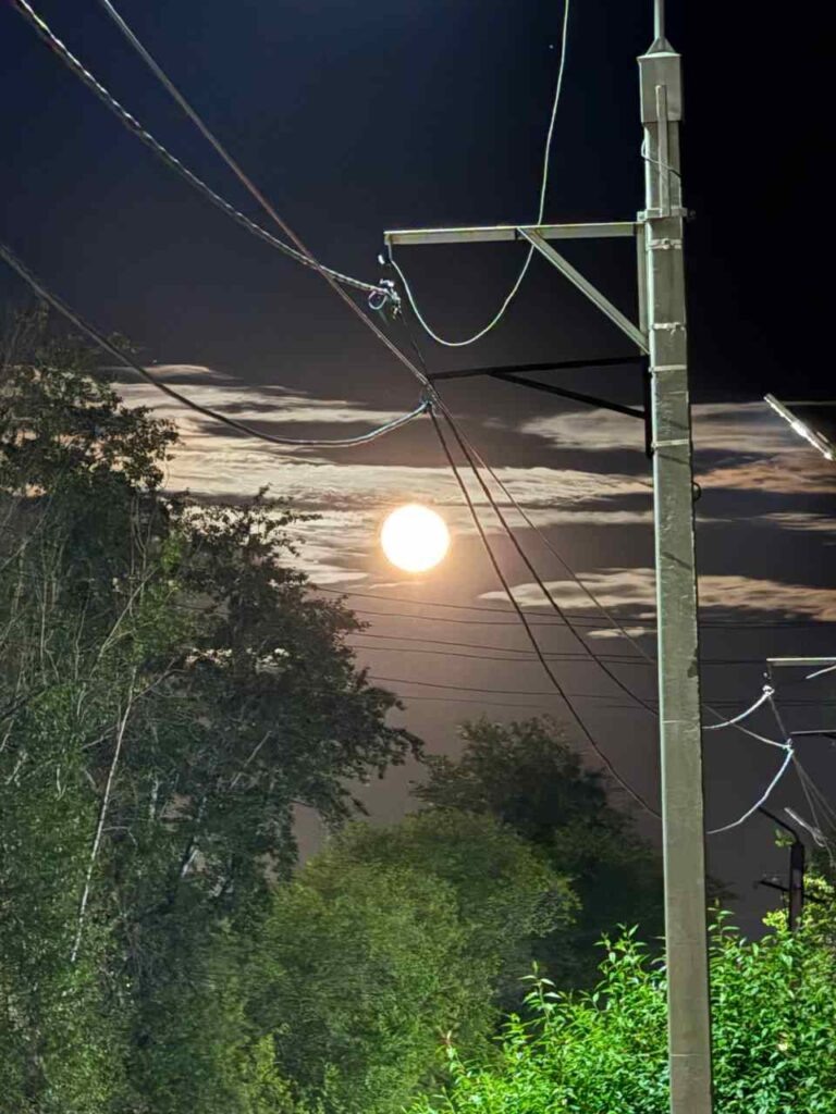    Фото: телеграм-канал «Непростой Свободный»