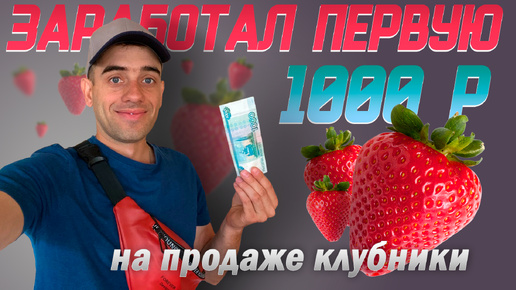 Заработал первую 1000 р на продаже клубники. Мой первый заработок на клубнике.