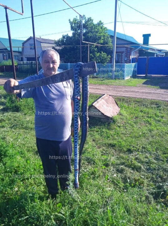    Социальные сети